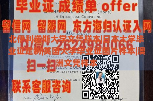 北伊利诺斯大学文凭样本|日本大学毕业证定制|英国大学毕业证图片样本|澳洲文凭样本